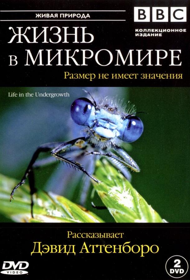 BBC: Жизнь в микромире 1 сезон